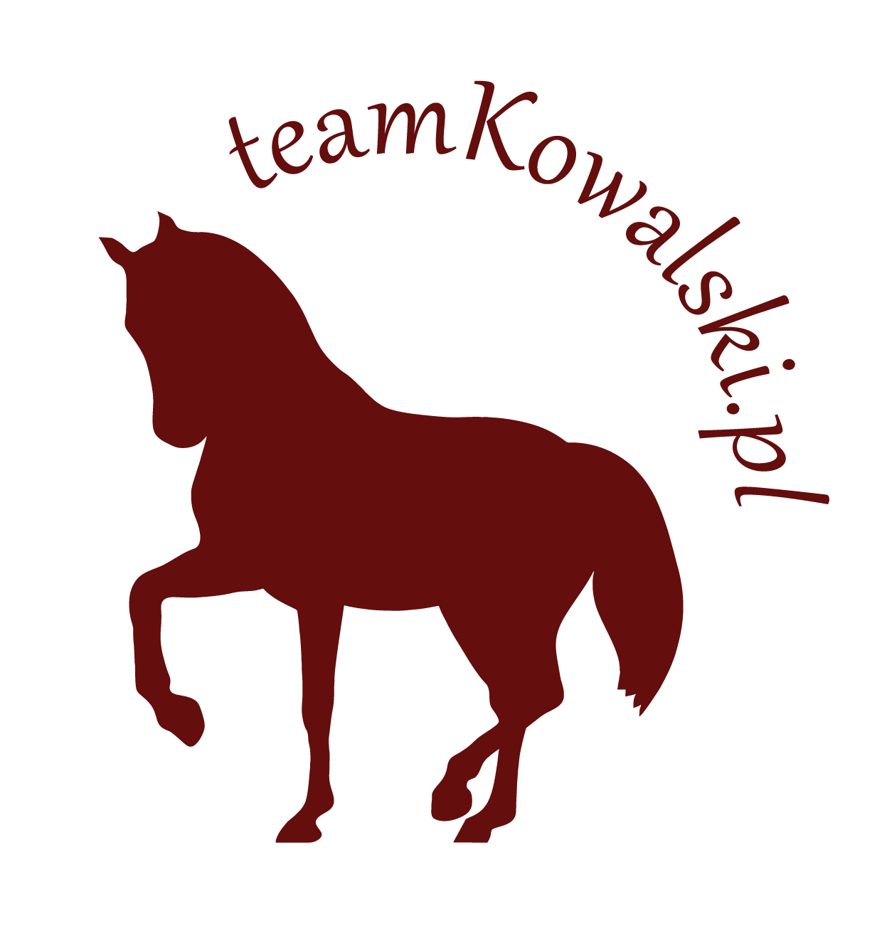 Team Kowalski