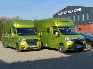 Jak wybrać najlepszego przewoźnika dla Twojego konia – praktyczny przewodnik
