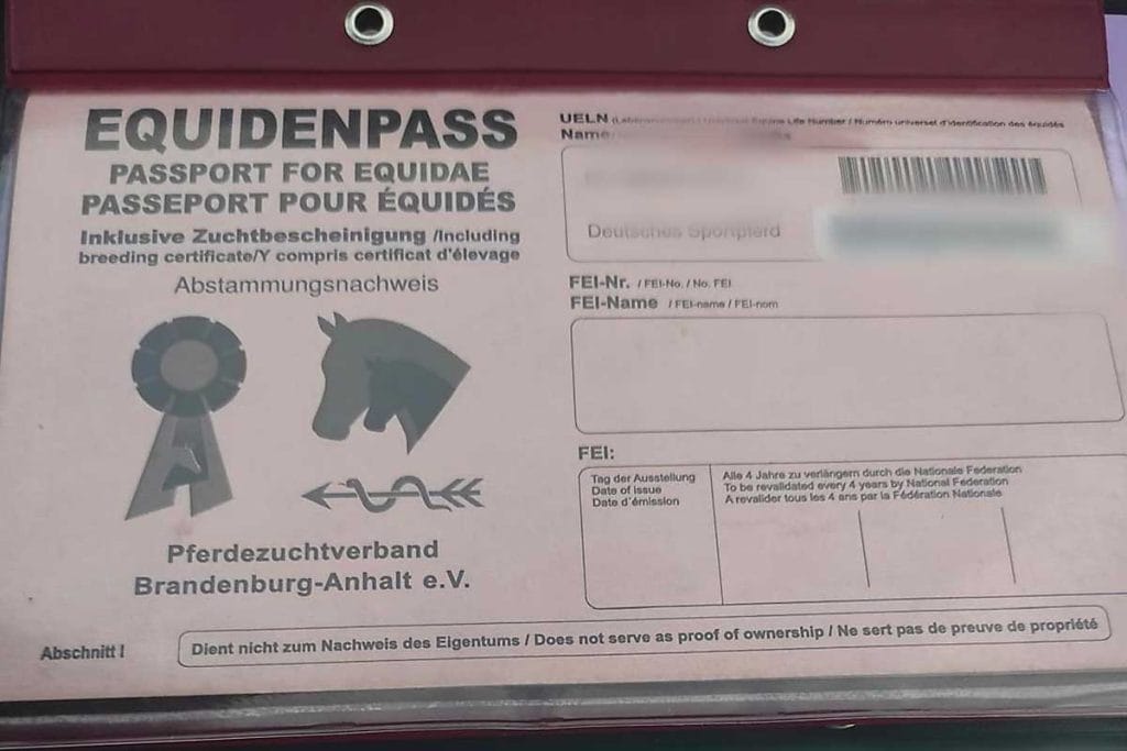 Paszport konia wystawiony w Niemczech