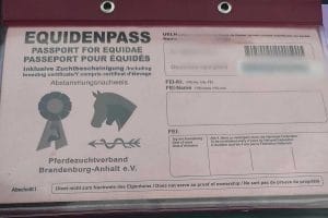 Horse passport - fundamental equine identification document
