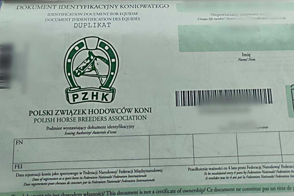 Zdjęcie polskiego paszportu konia wystawionego przez Polski Związek Hodowców Koni