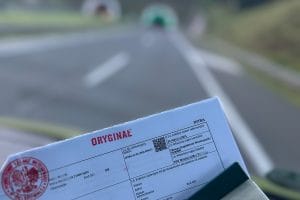 Licencja na przewóz zwierząt, niezbędna w drodze
