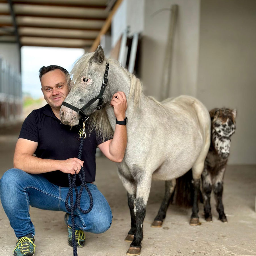 Klacz i źrebię w stajni przed transportem