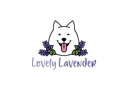 Lavender Hodowla Samoyed
